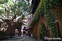 VBS_3741 - Angoli del Valentino lungo il Po